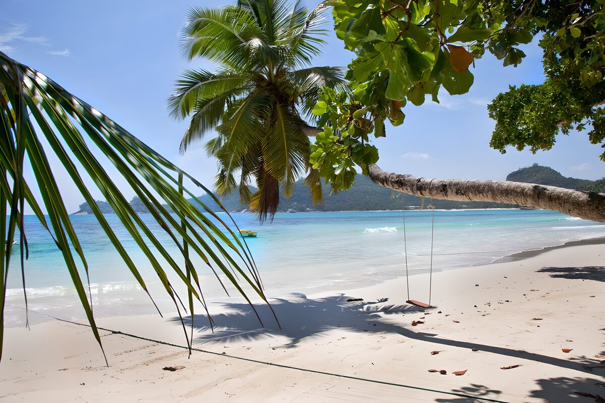 Tropisch strand met palmschommel