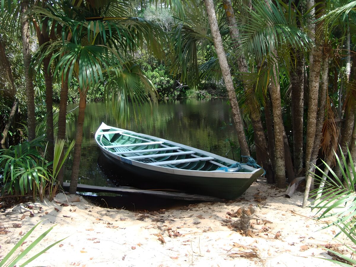 Groene boot aan een zandige oever