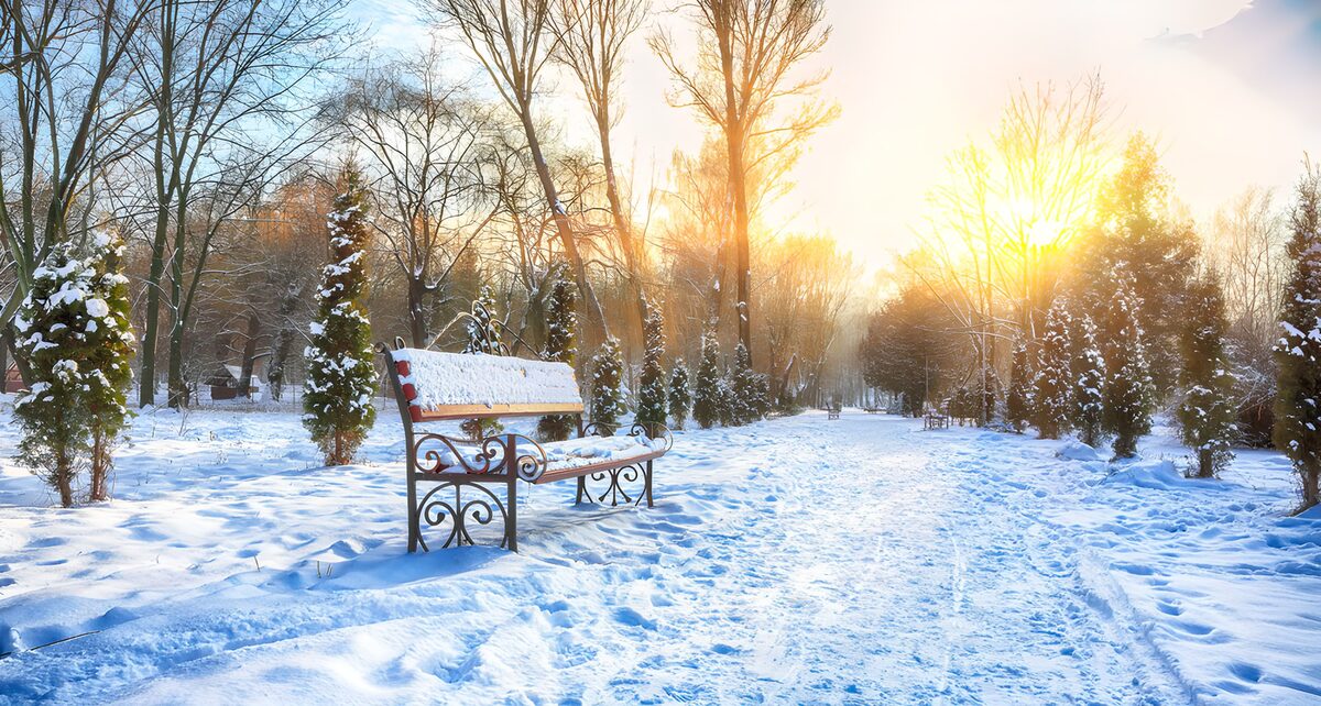 Bankje aan een besneeuwd parkpad
