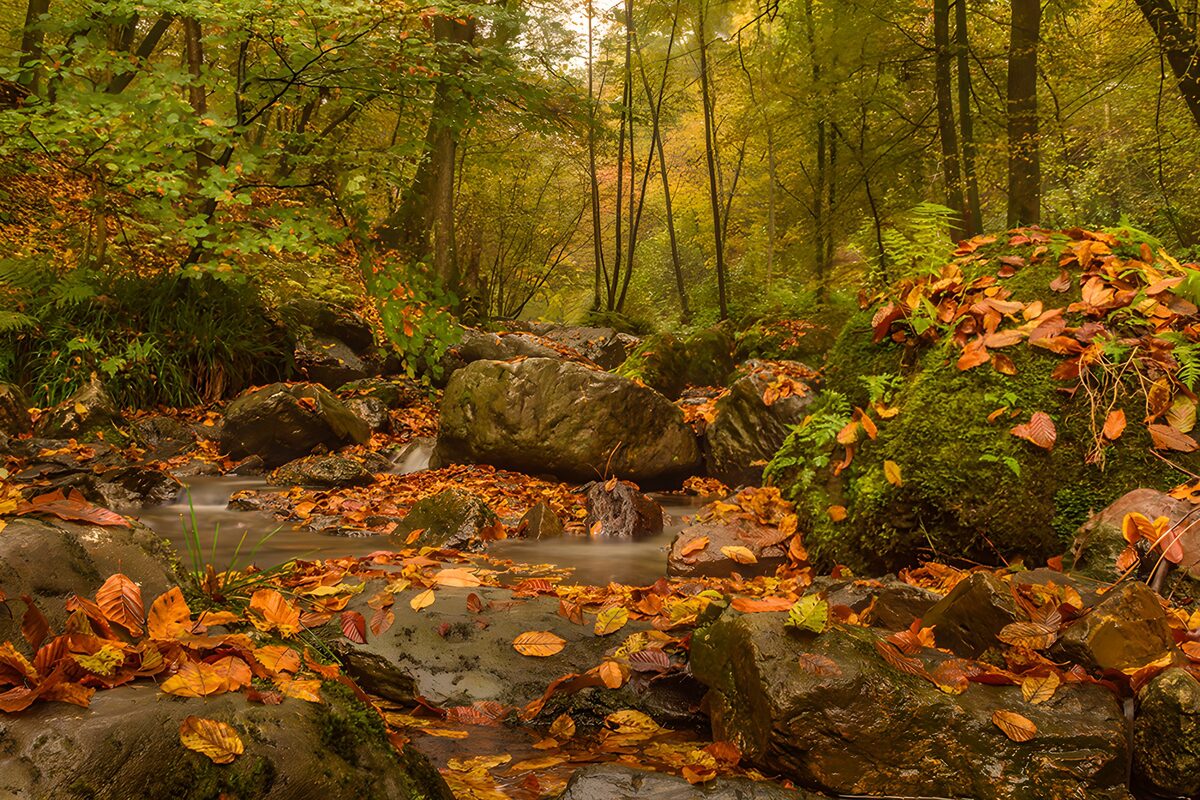 Waar de herfst met het water meereist