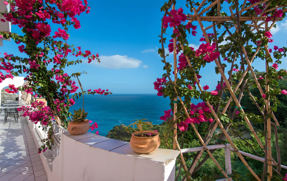Zonnig terras met bougainvillea en zee