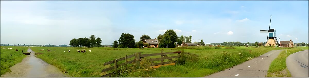 Windmolen en schapen in een open polder
