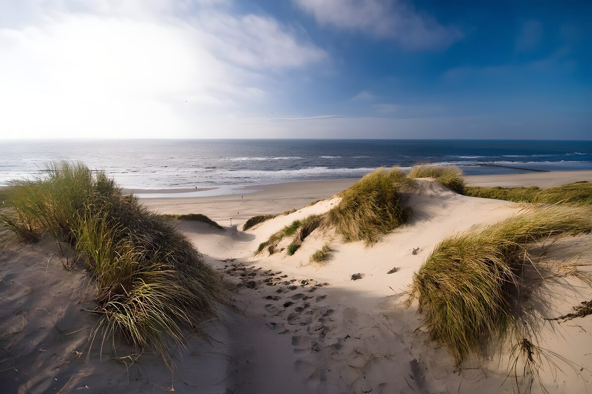 Zandpad door de duinen naar zee