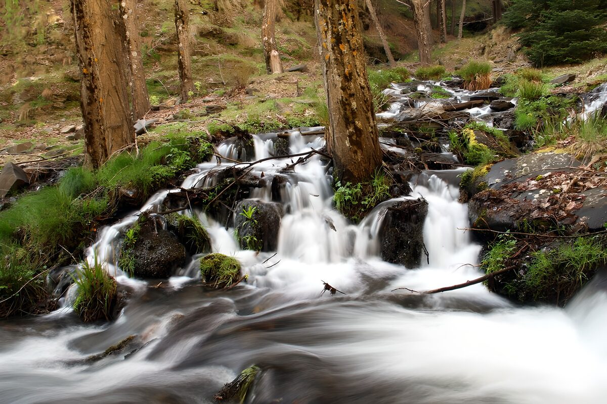 Bosbeek met watervalletjes en mos