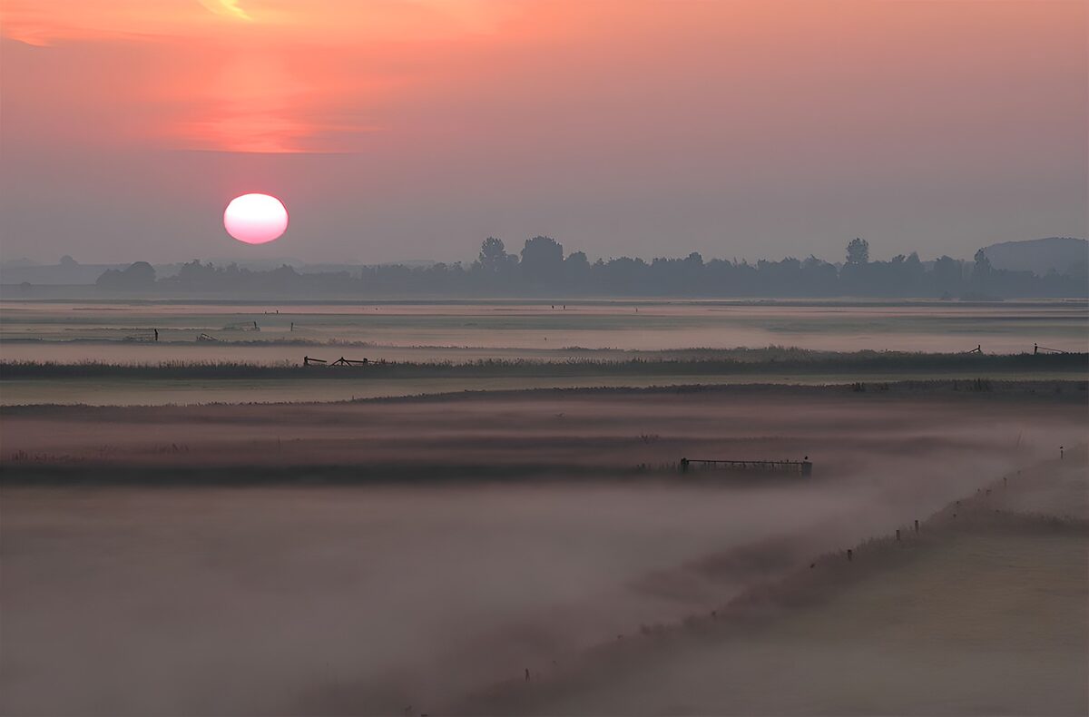 Mistige weilanden bij zonsopgang