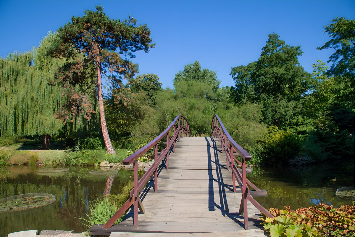 Houten boogbrug over een groene vijver