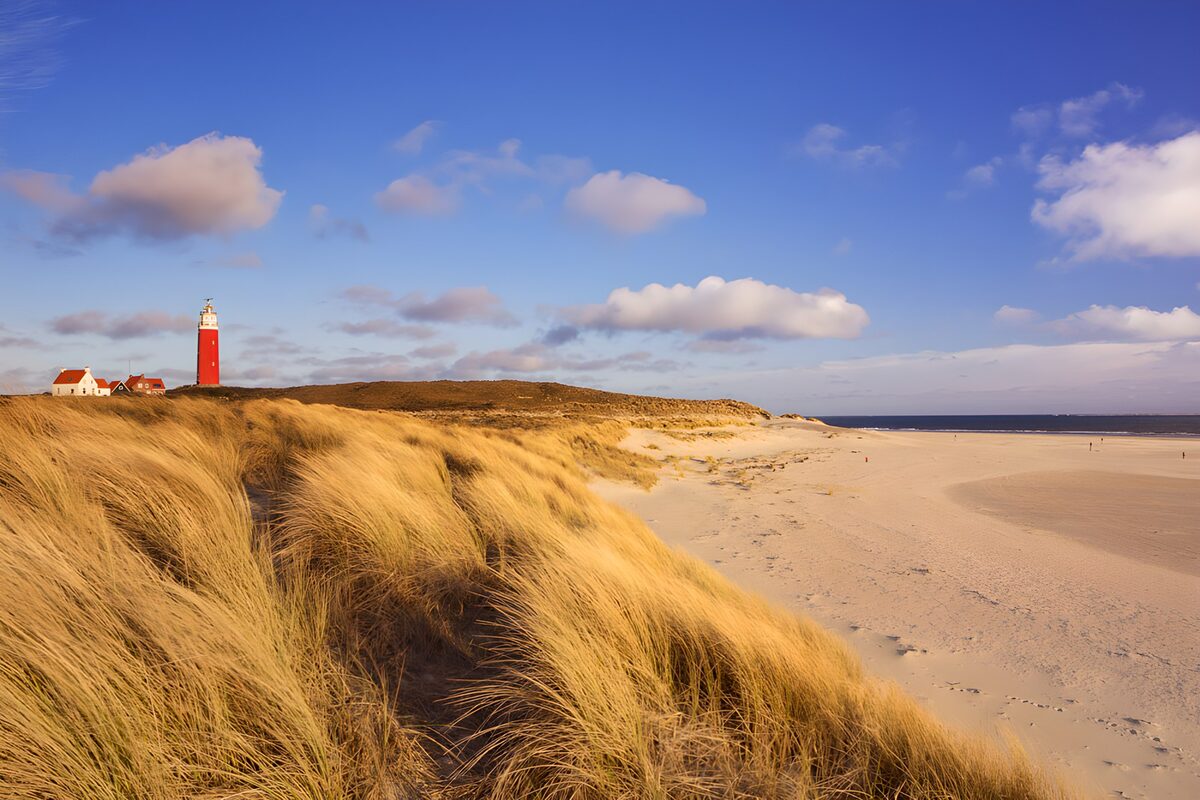 Rode vuurtoren boven gouden duinen
