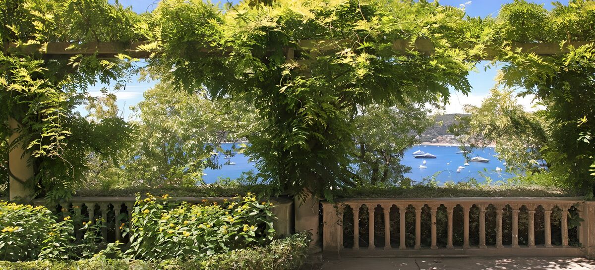 Groene pergola met uitzicht op de baai