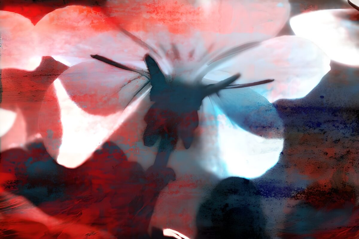 Abstracte bloesem in rood, wit en blauw
