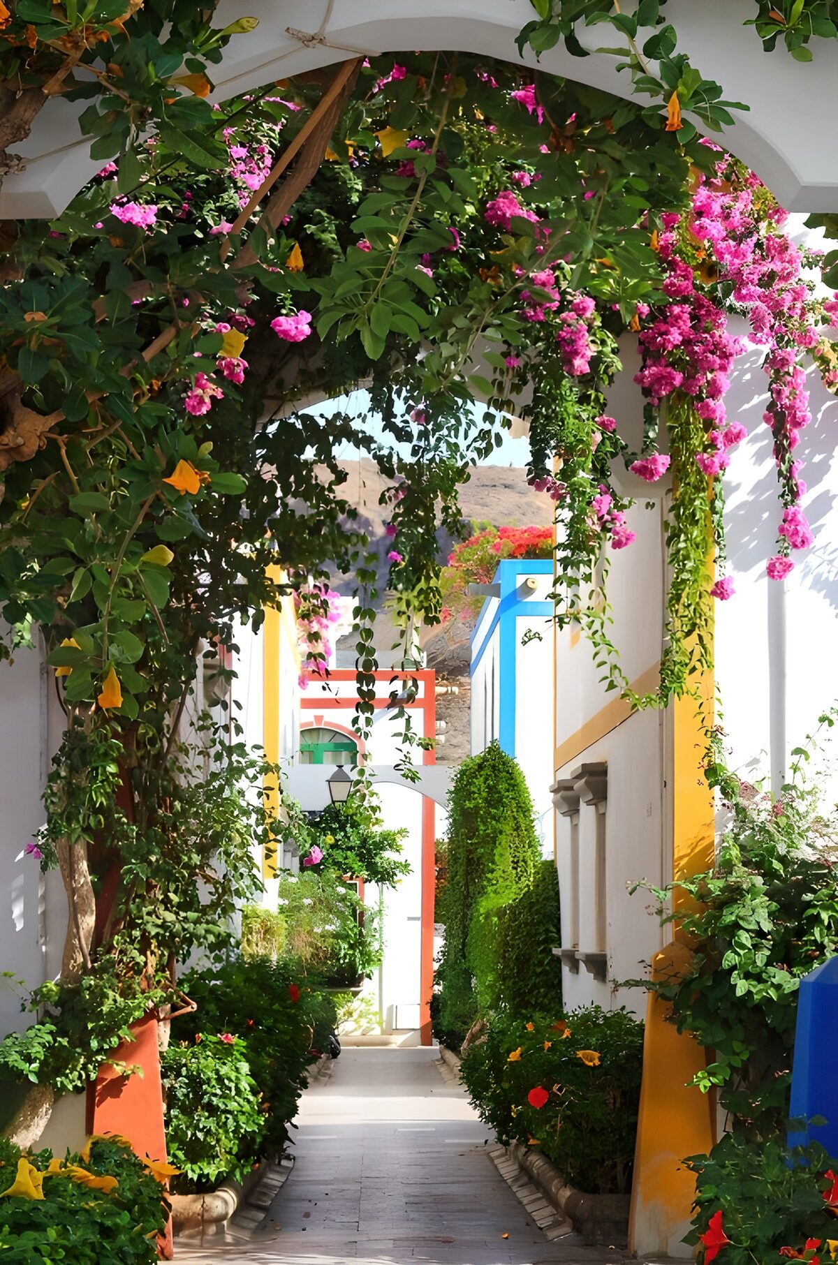 Een bloemenboog boven de witte steeg