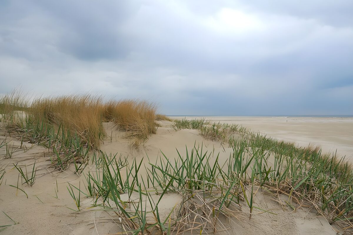 Duinen en strand onder een grijze lucht