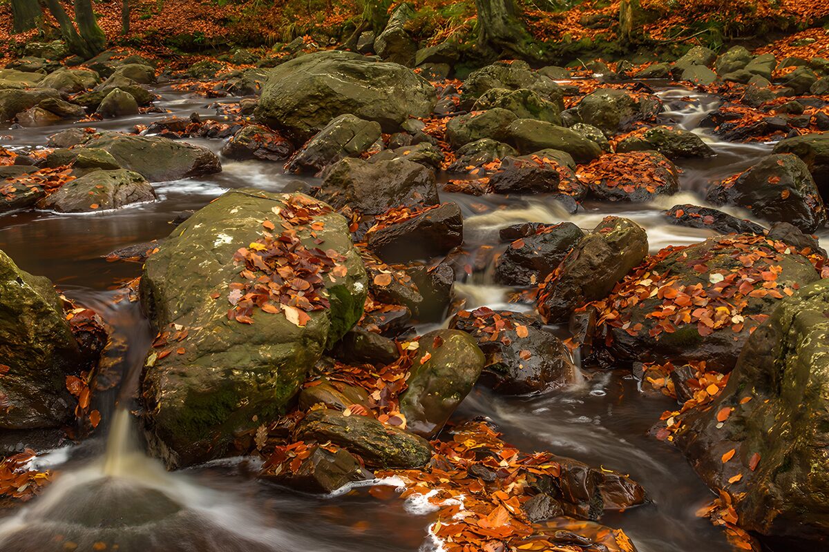 Waar de herfst over stenen stroomt