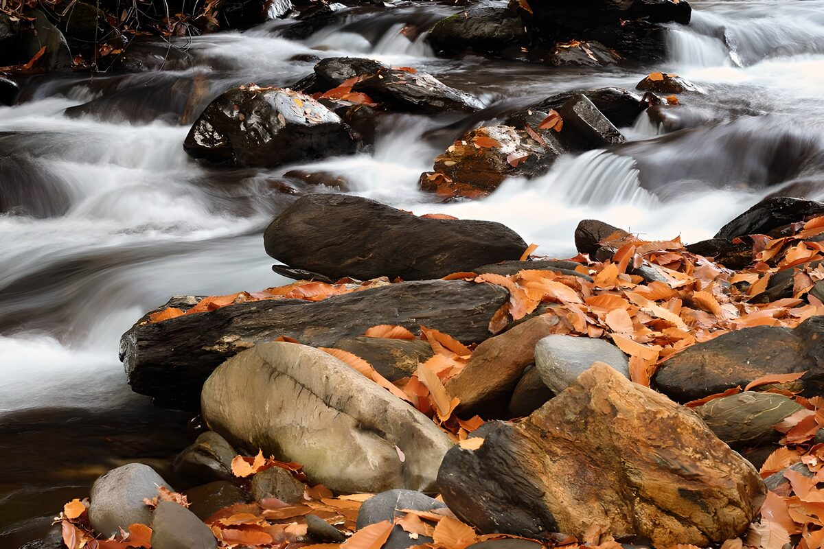 Herfstbeek met rotsen en kleine watervallen