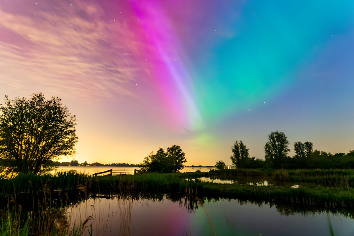 Noorderlicht boven water en riet