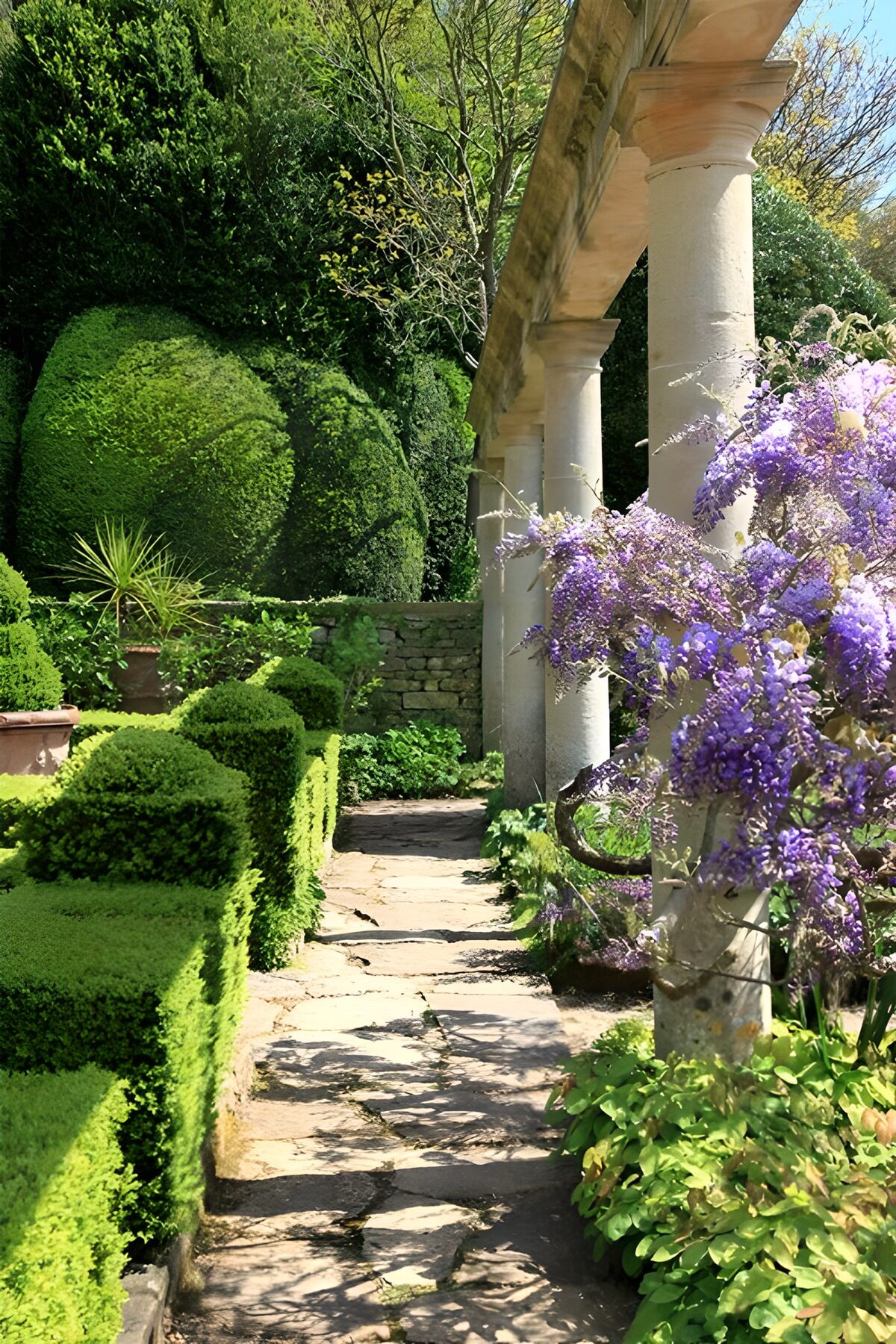 Tuinpad langs hagen en paarse bloemen
