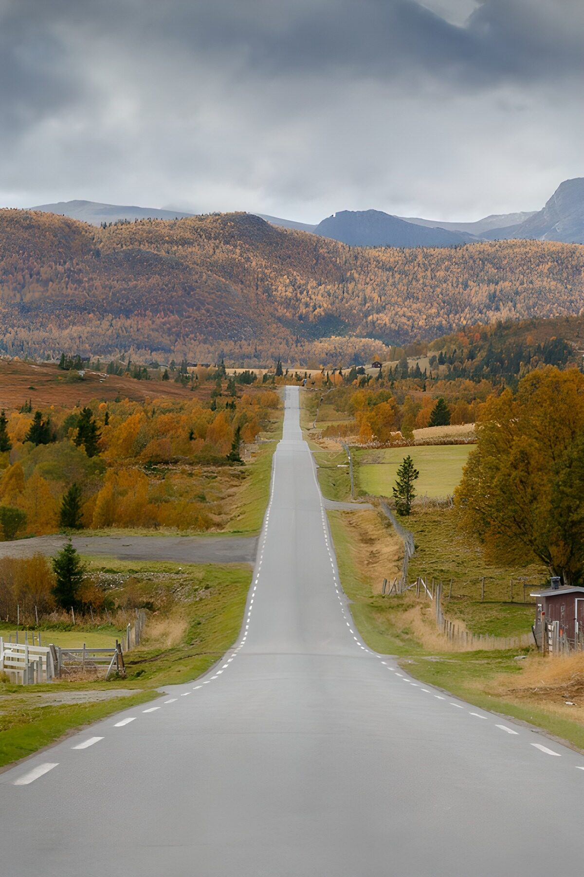 Rechte weg door een herfstvallei