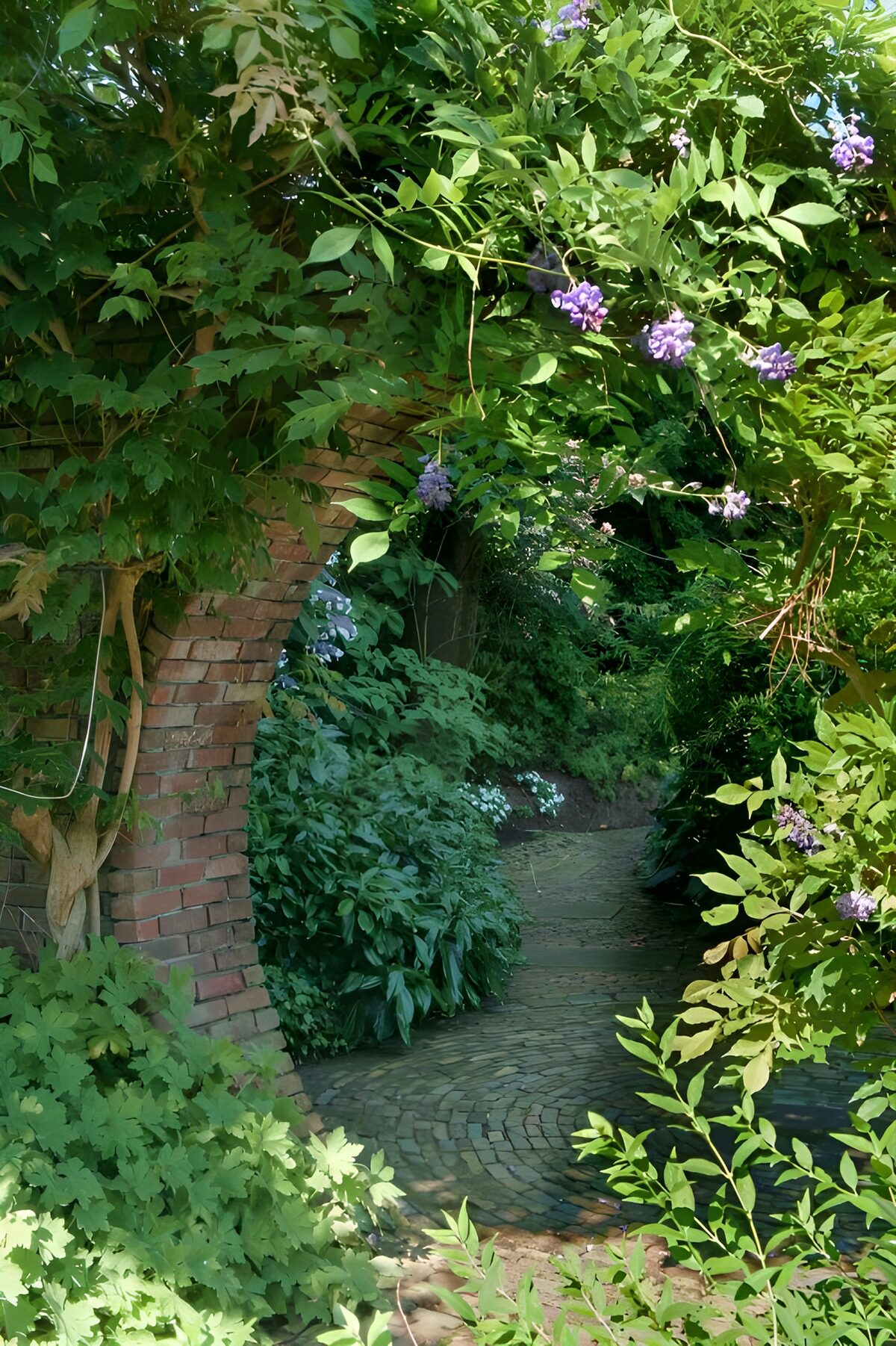 Begroeide tuinboog met paarse bloemen