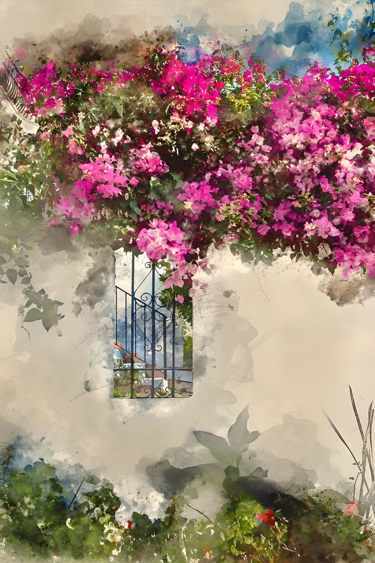 Bougainvillea tegen een witte muur