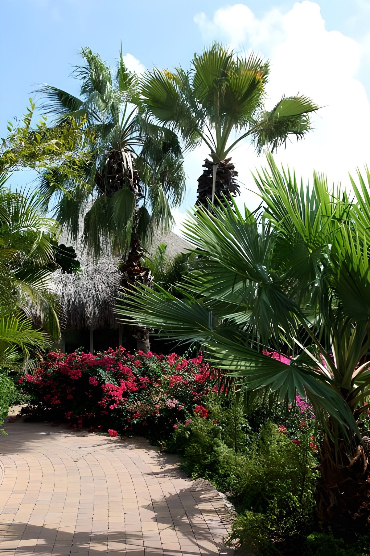 Tropische tuin met palmen en roze bloemen