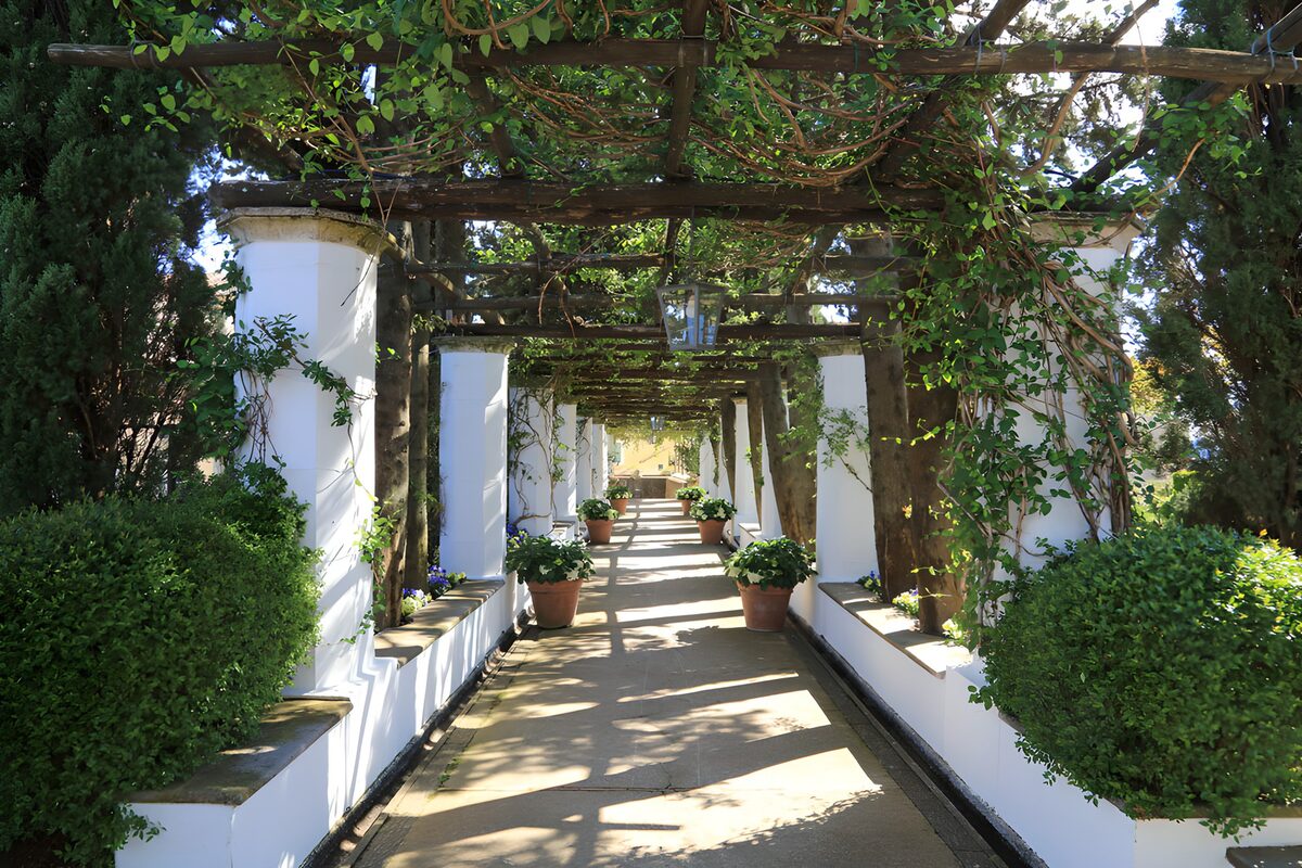Begroeide pergola met witte zuilen