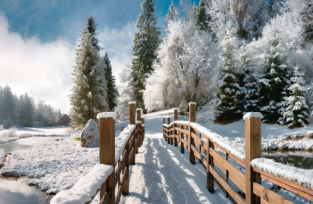 Besneeuwde houten brug in het winterbos