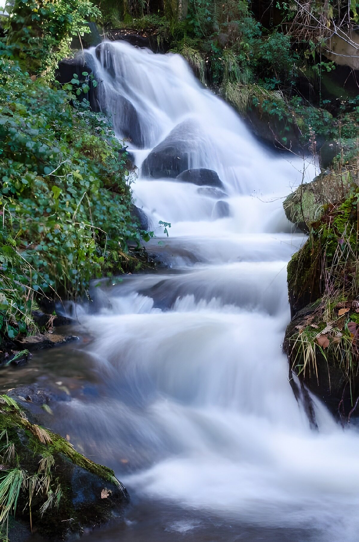 Bosbeek met watervallen tussen het groen