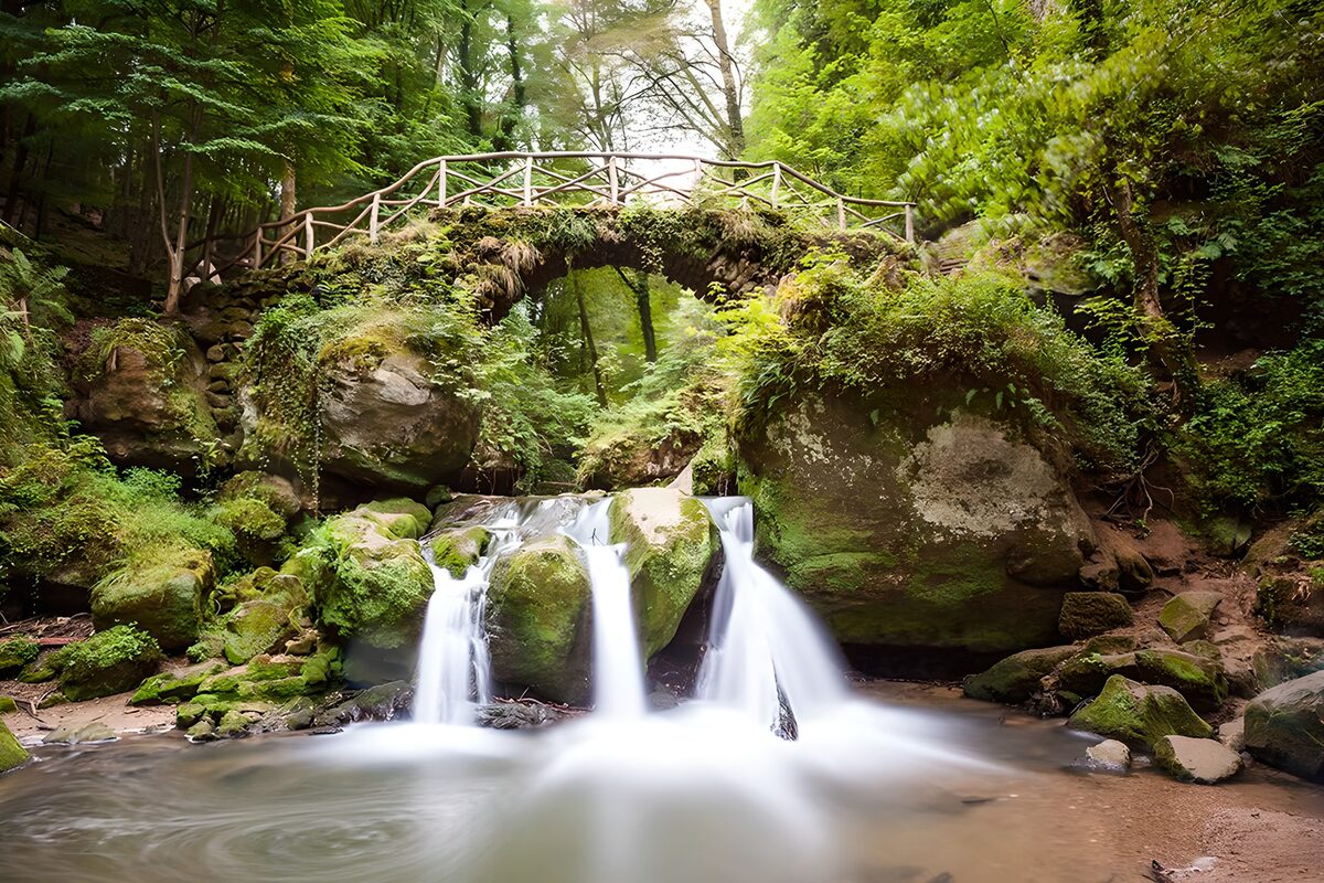Waterval onder een groene bosbrug