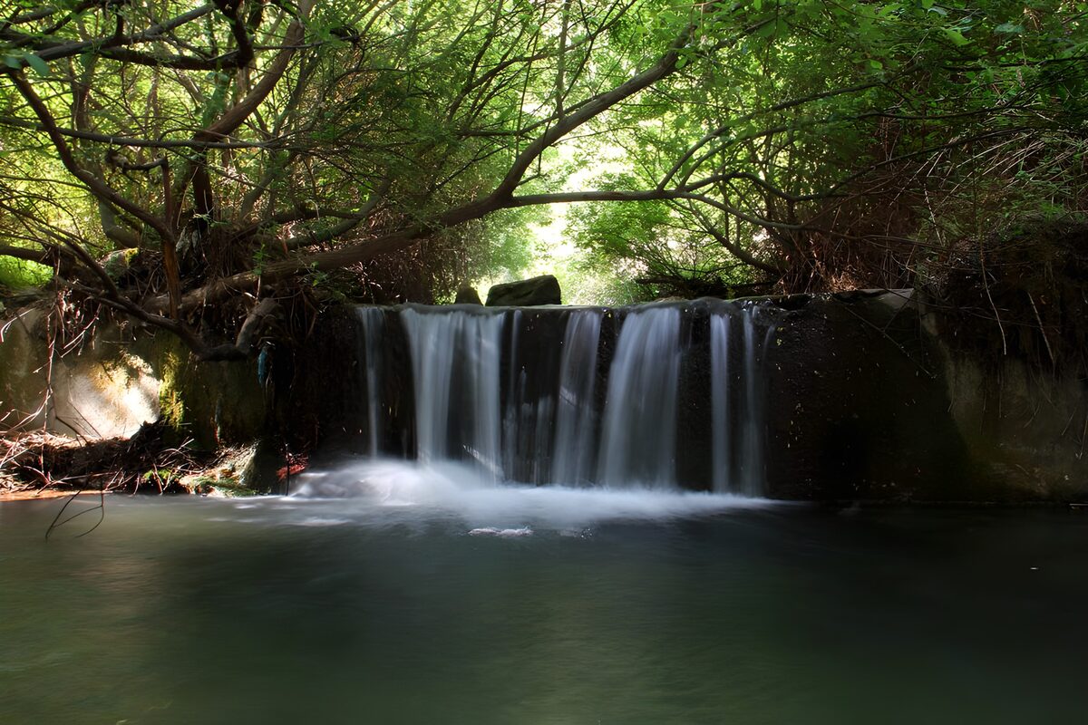 Kleine waterval onder groene takken