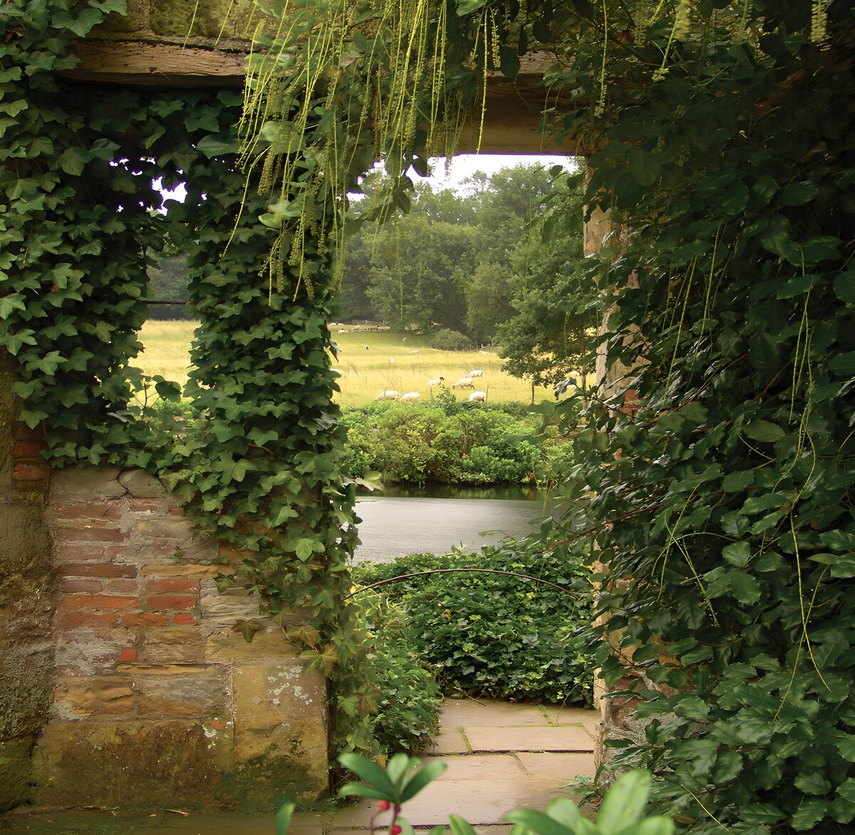 Begroeide muur met zicht op de vijver