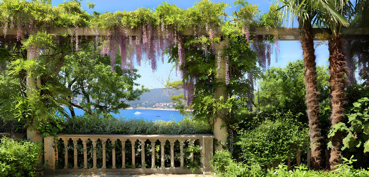 Pergola met blauwe regen aan de baai