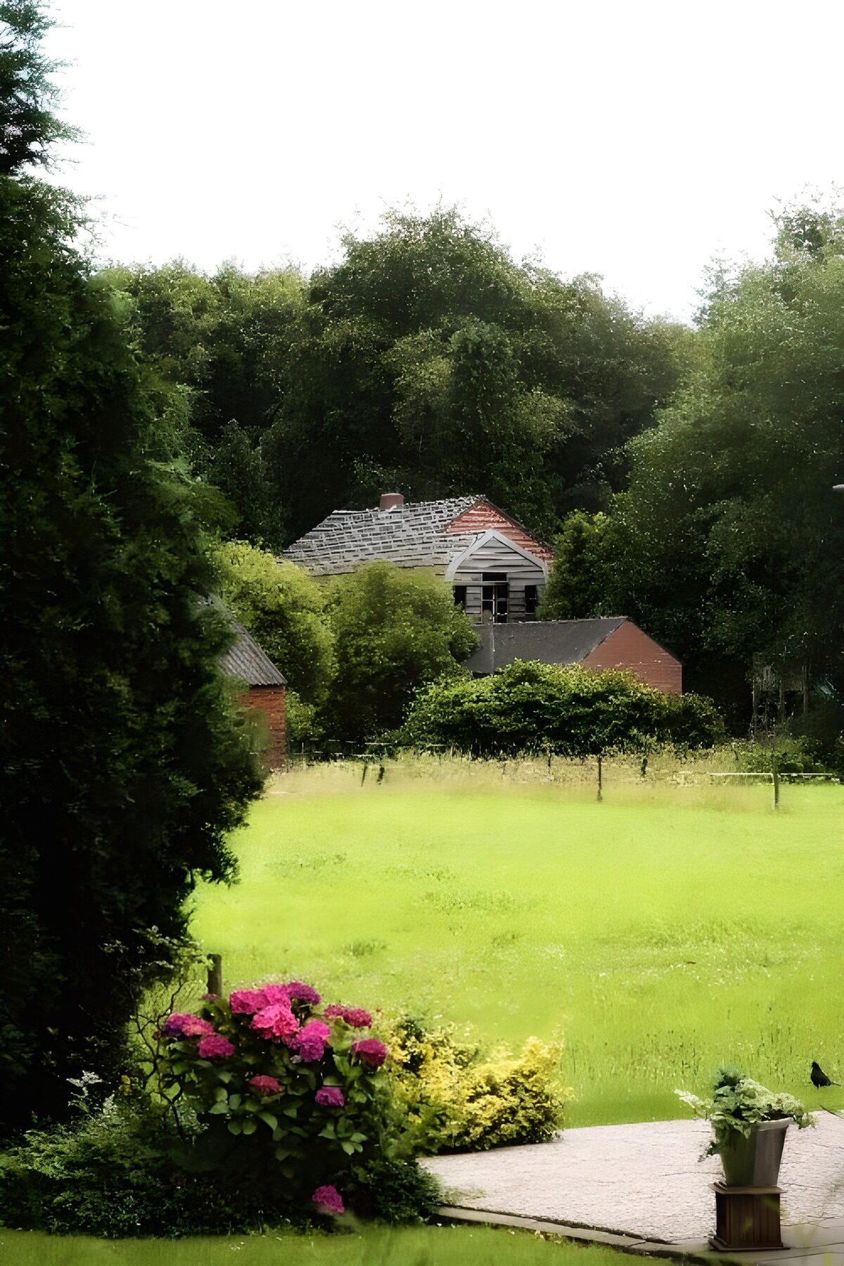 Tuin met hortensia’s en een oude schuur