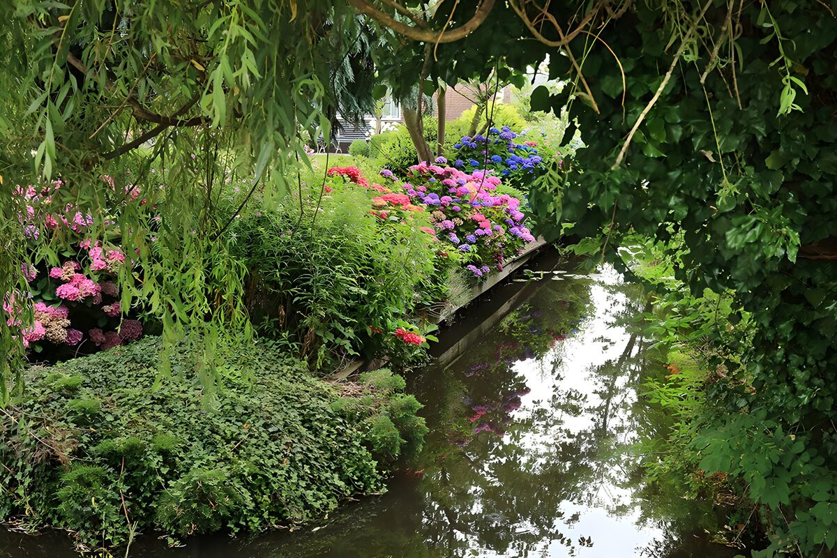 Tuinsloot met roze en paarse hortensia's