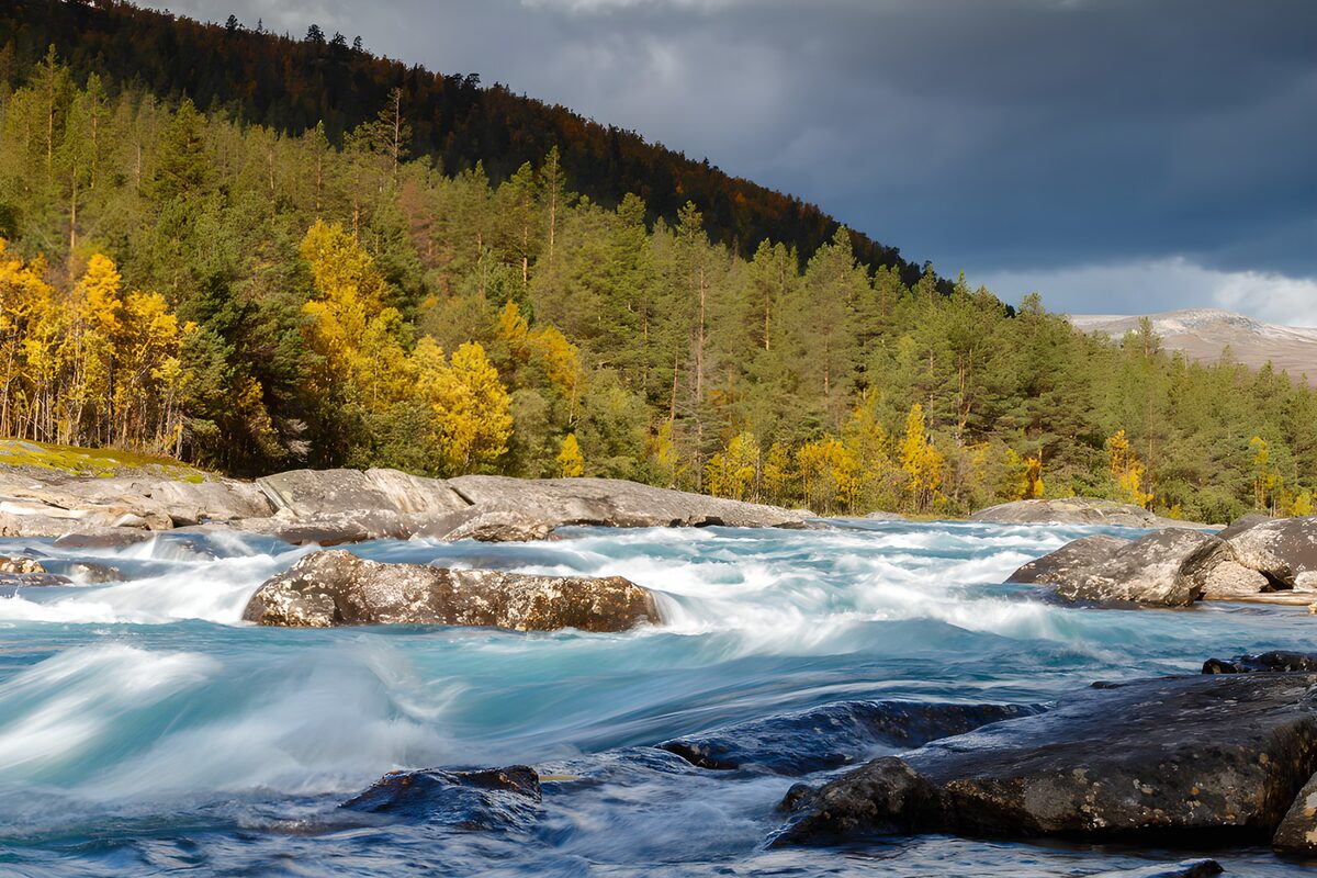 Rivier met stroomversnellingen in herfstbos