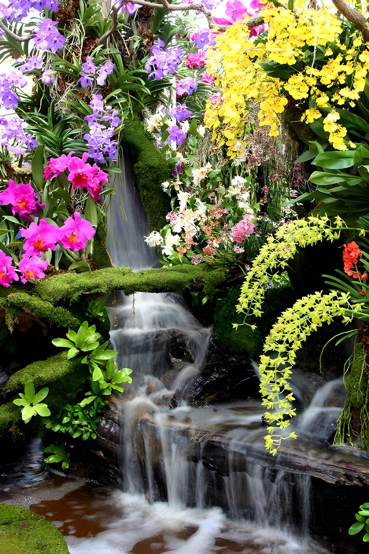 Orchideeën rond een groene waterval
