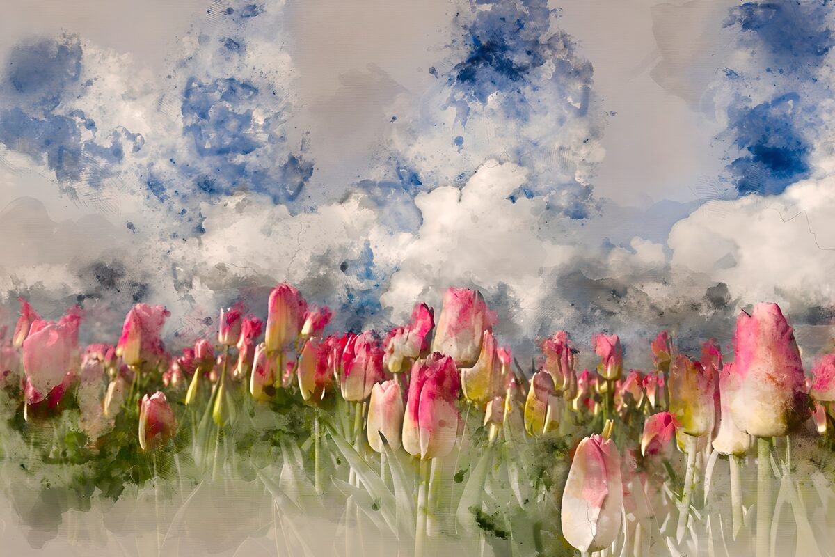 Roze tulpen in een waterverflandschap