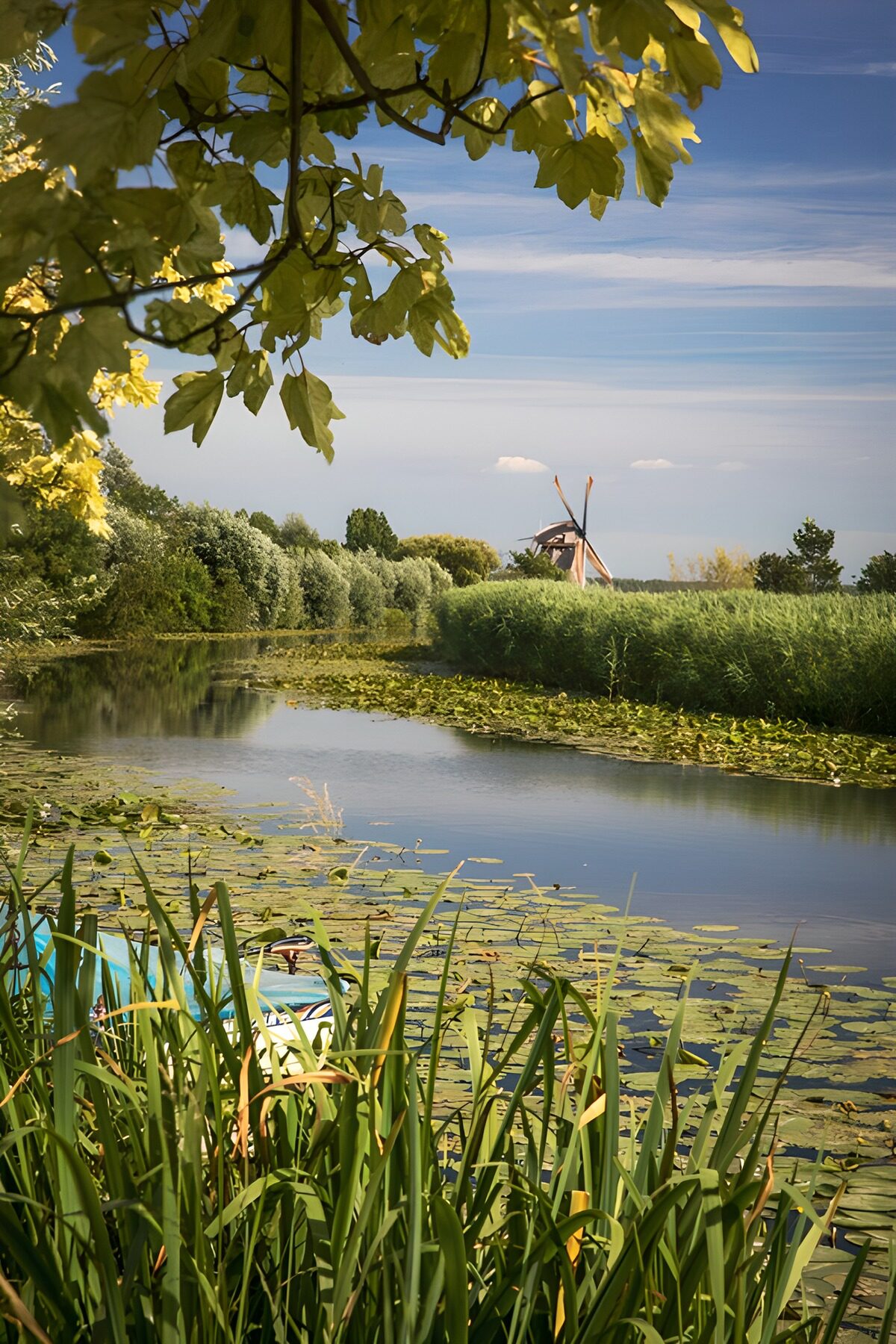 Molen aan het water tussen het riet