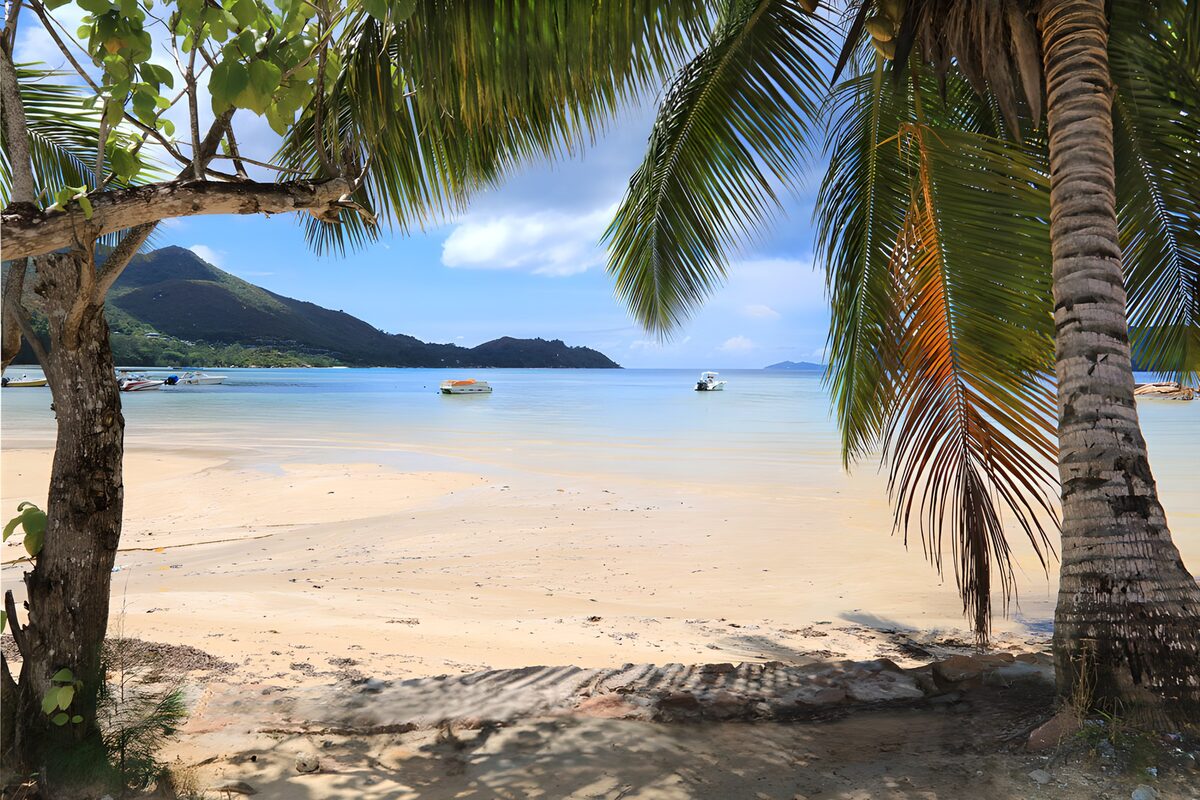 Palmenstrand aan een stille baai