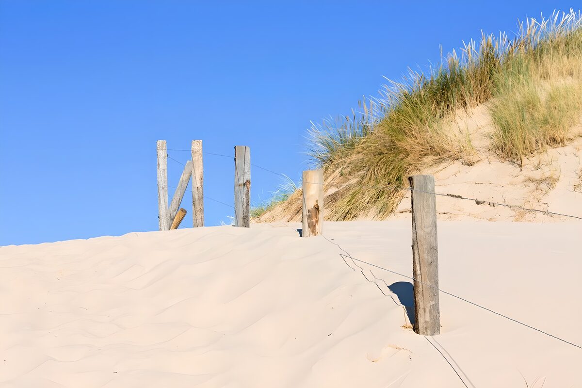 Zandduin met houten palen