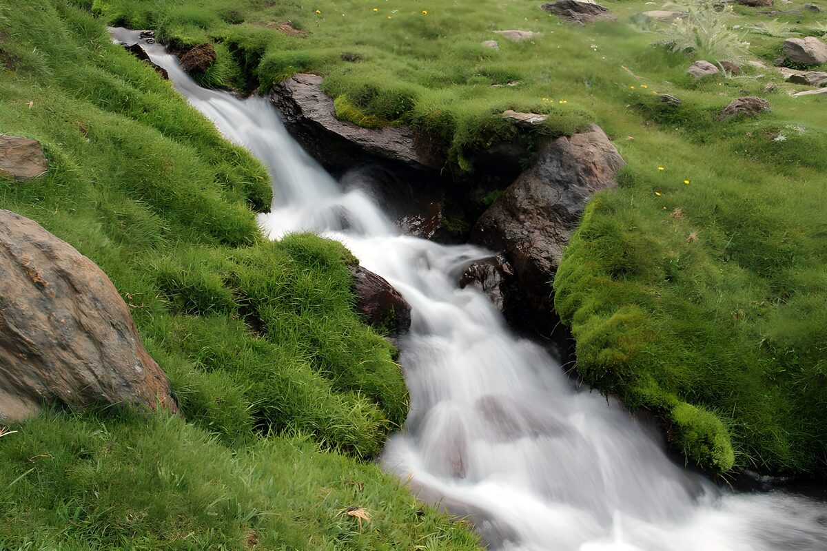 Beek met watervalletjes in het groen