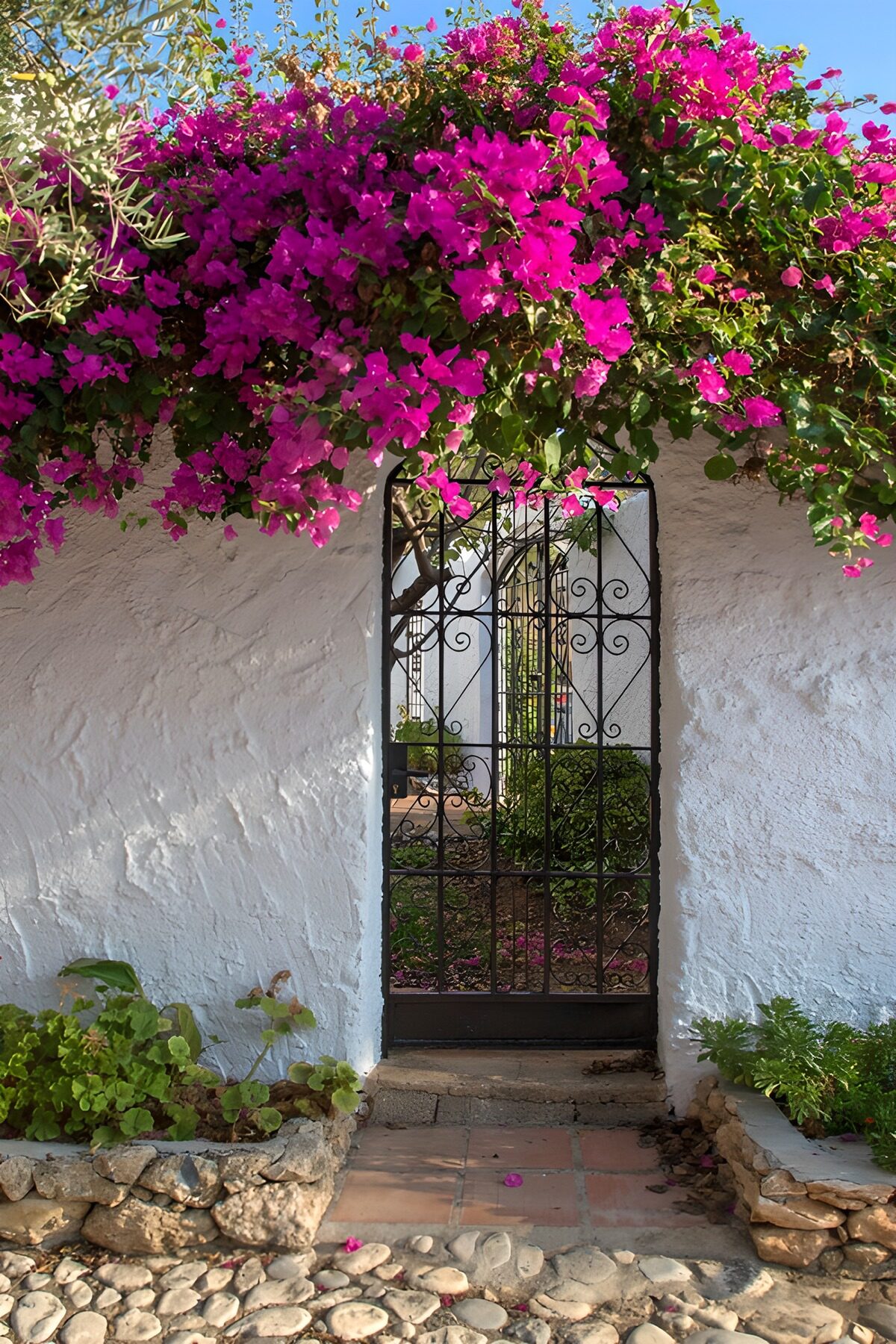 Een roze waterval boven de tuinpoort