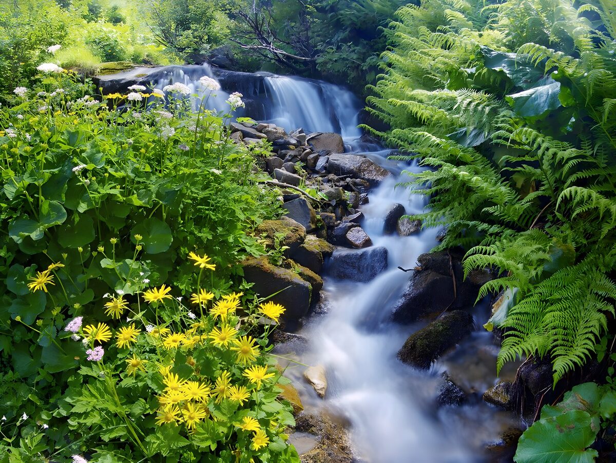 Waterval tussen varens en bloemen