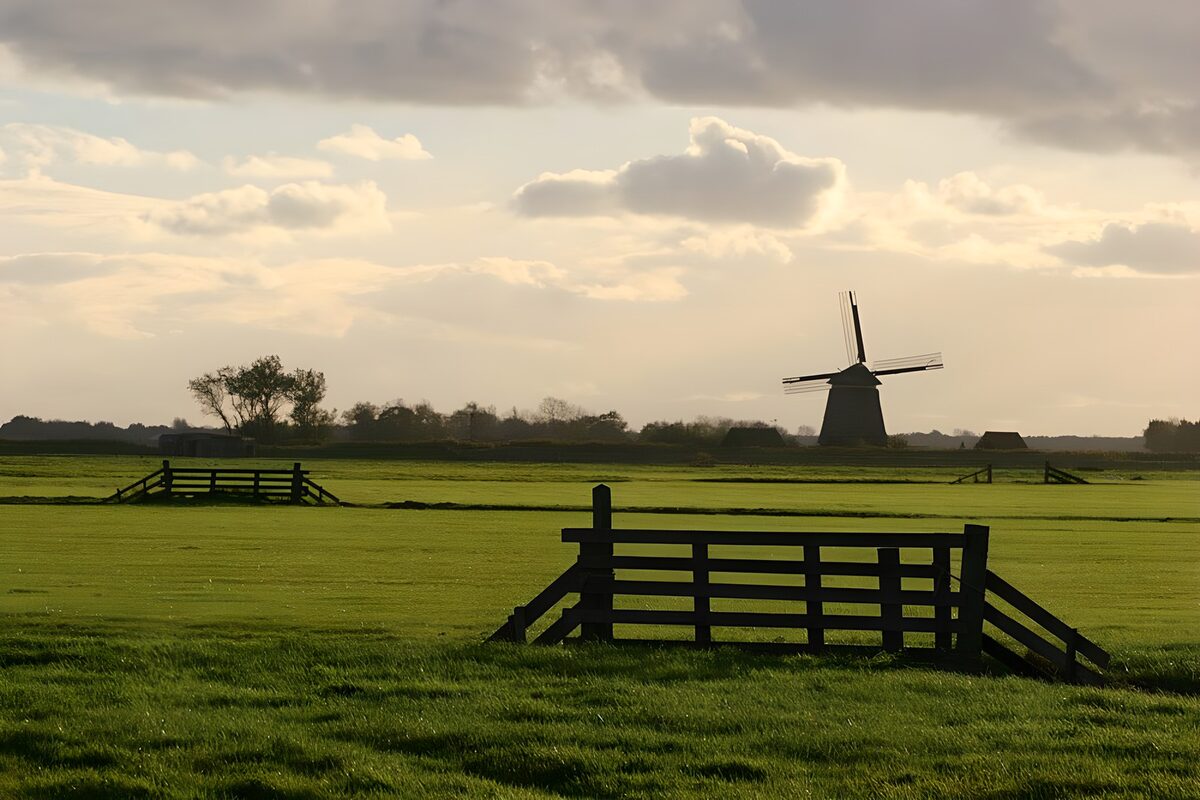 Molen en houten hek in laag zonlicht