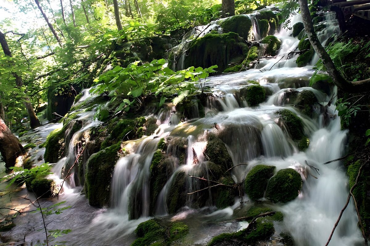 Boswaterval over met mos begroeide rotsen