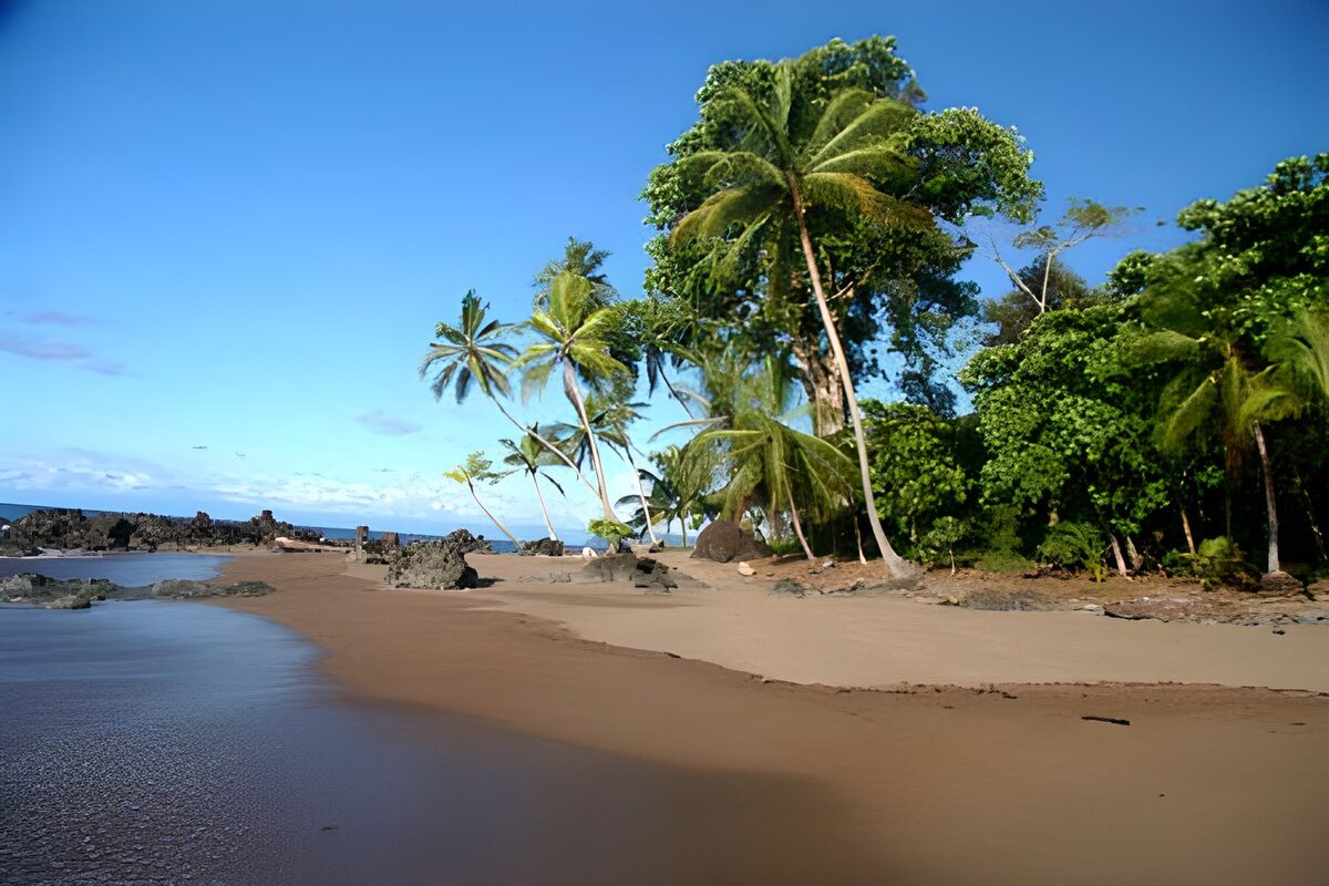 Zonnig palmstrand met donkere rotsen
