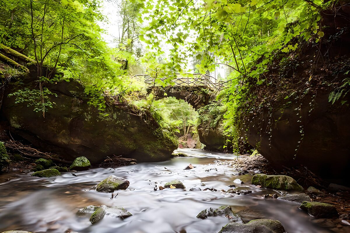 Stenen boogbrug in een weelderig bos