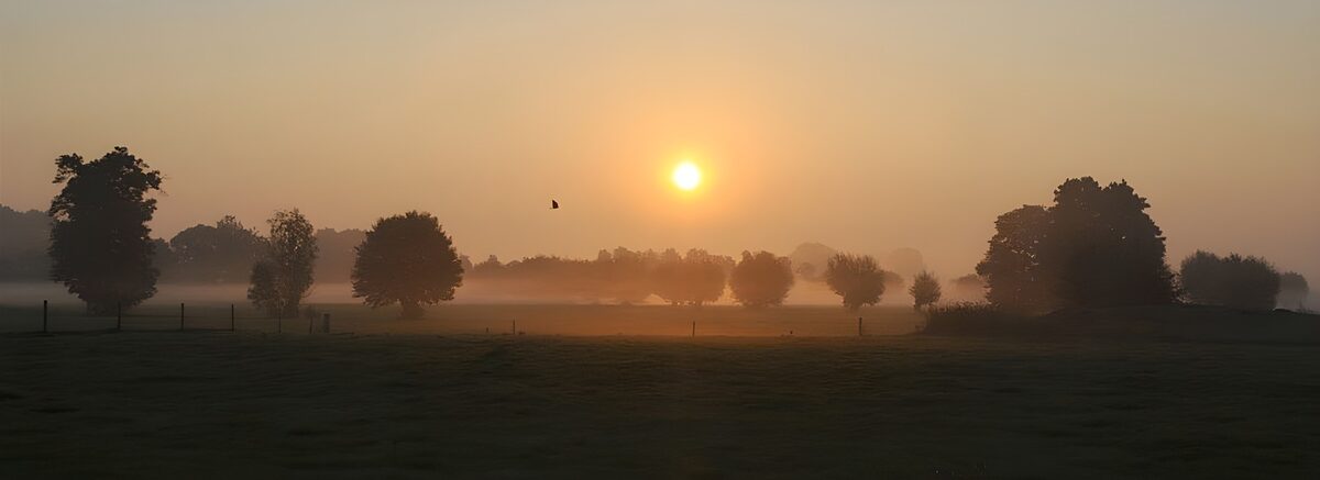 Zonsopgang boven een mistig grasveld