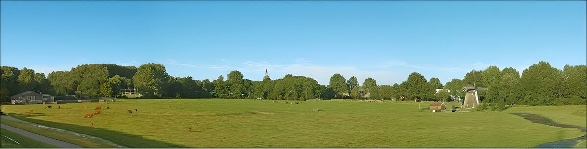 Koeien en een molen in de lage zon