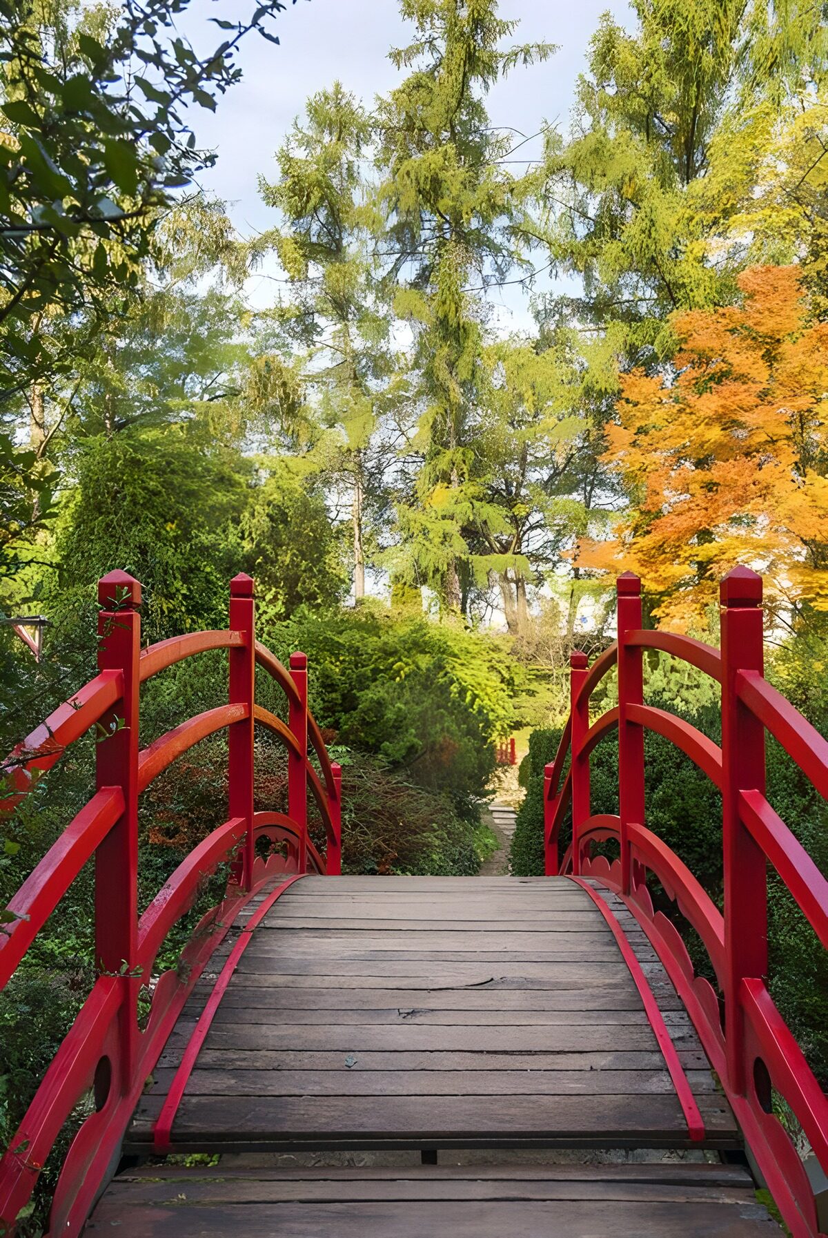 Rode boogbrug tussen groen en herfstblad