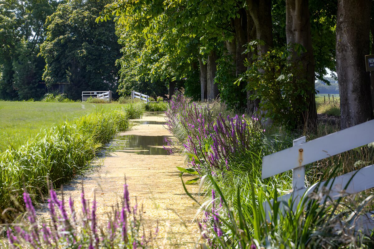 Zomersloot met paarse bloemen en wit hek