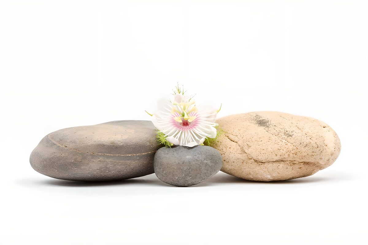 Drie keien met een witte passiebloem